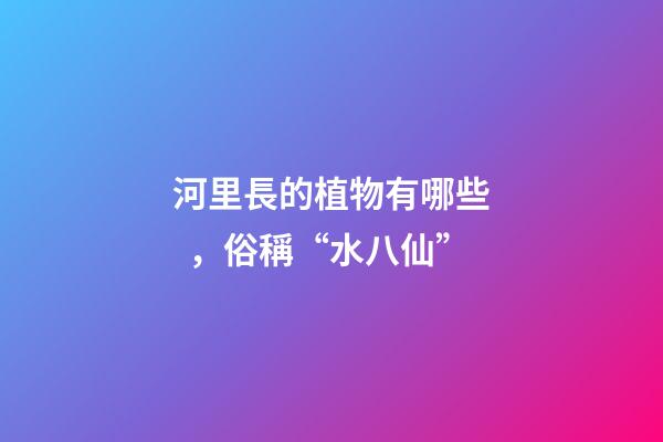 河里長的植物有哪些，俗稱“水八仙”